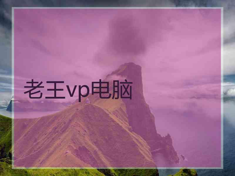 老王vp电脑