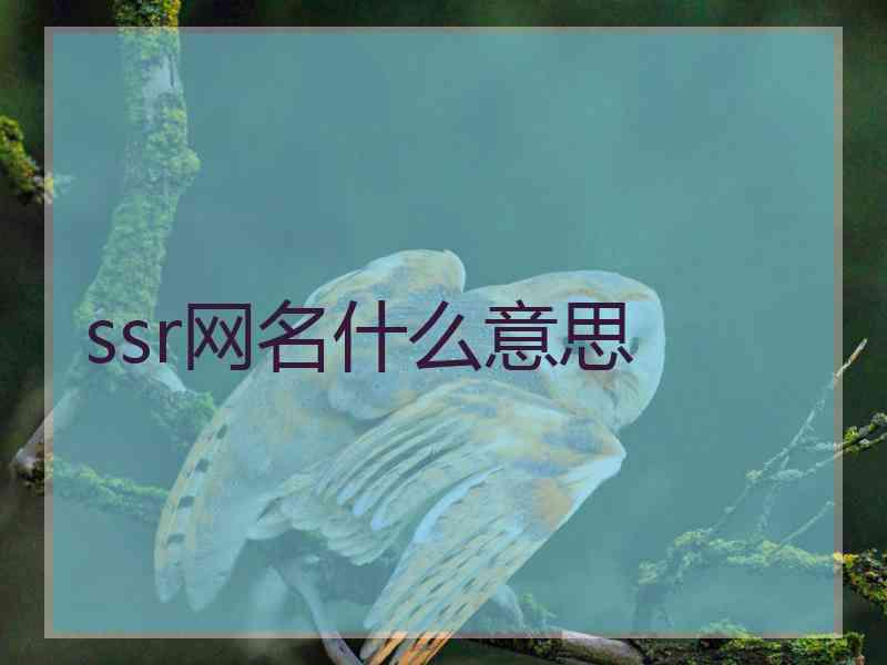 ssr网名什么意思