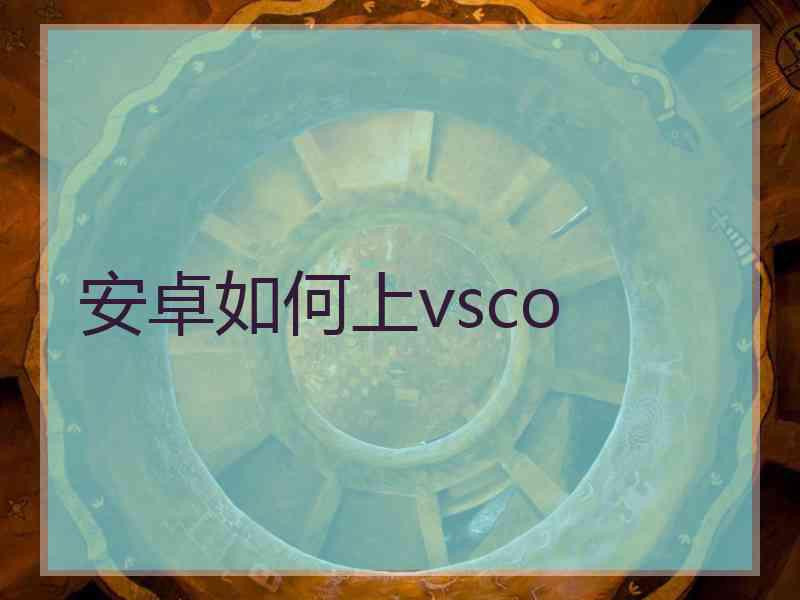 安卓如何上vsco