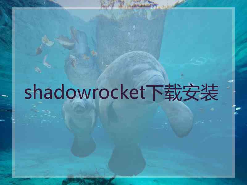 shadowrocket下载安装