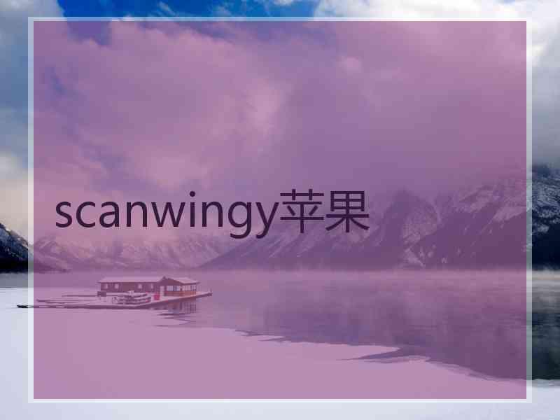 scanwingy苹果