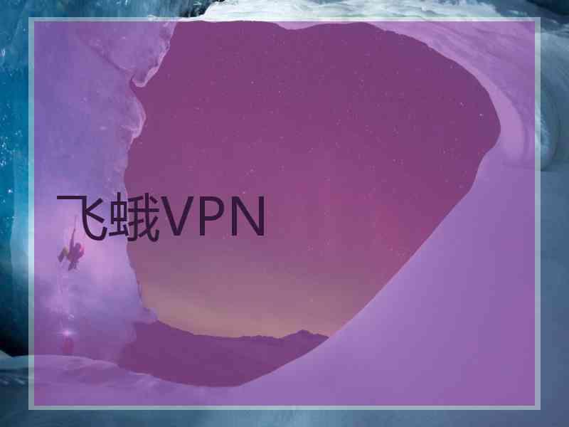 飞蛾VPN