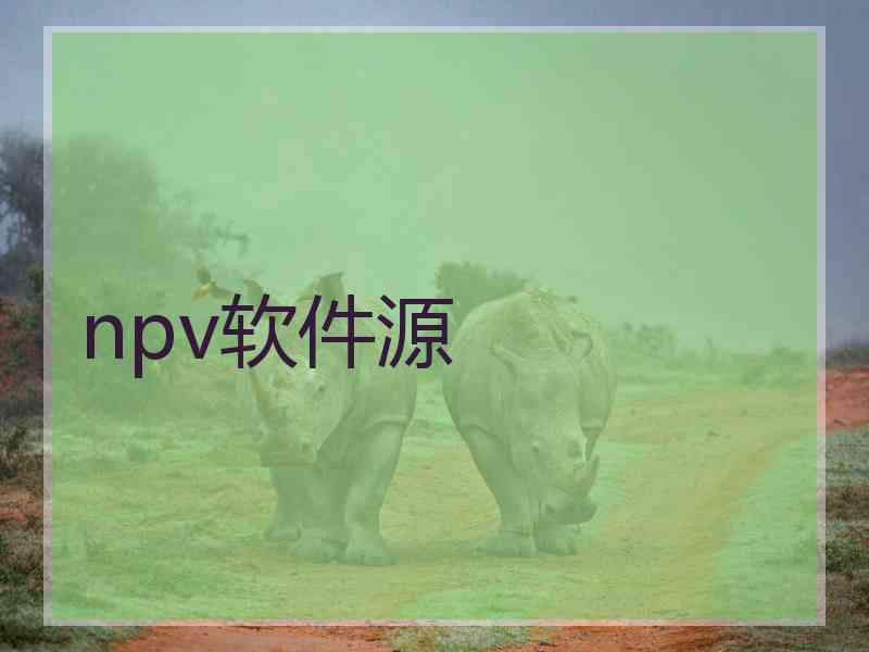 npv软件源