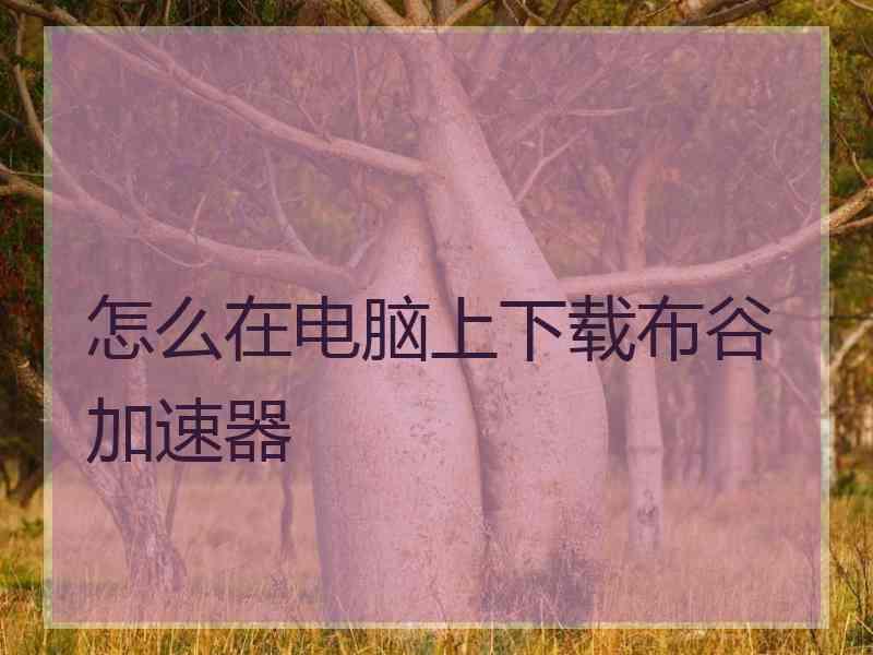 怎么在电脑上下载布谷加速器