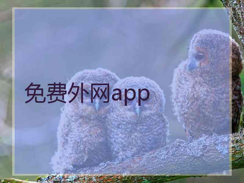 免费外网app