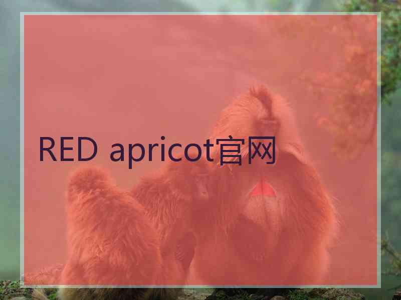 RED apricot官网