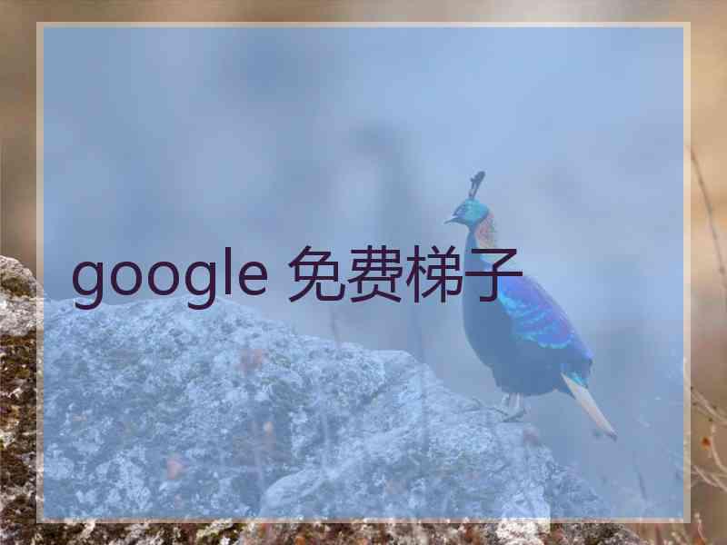 google 免费梯子