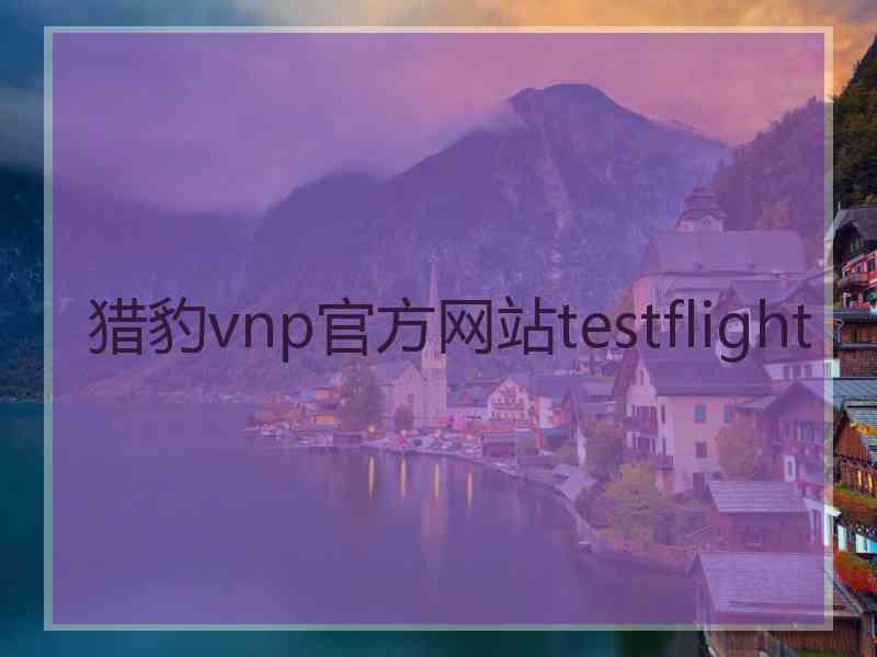 猎豹vnp官方网站testflight