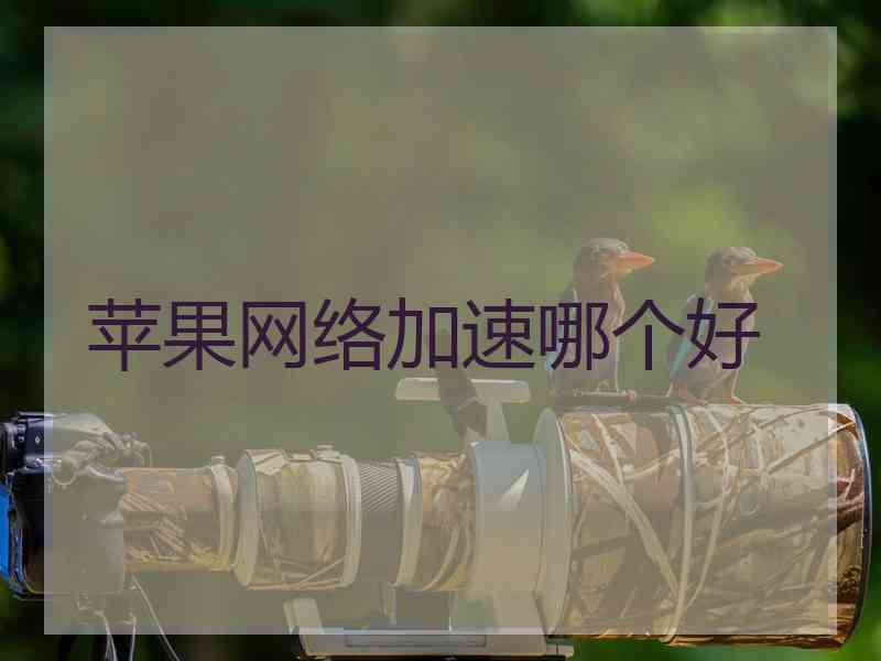 苹果网络加速哪个好