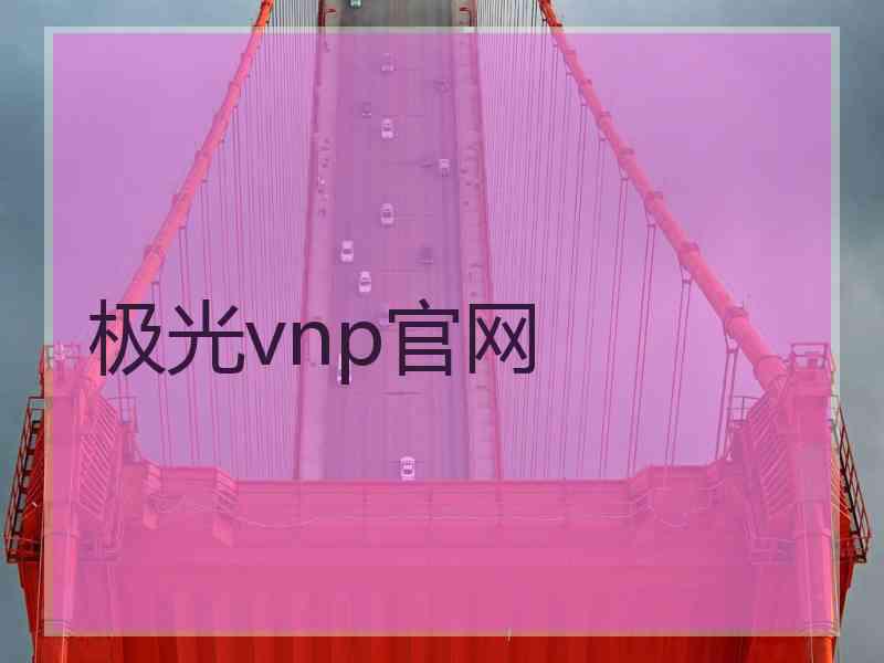 极光vnp官网