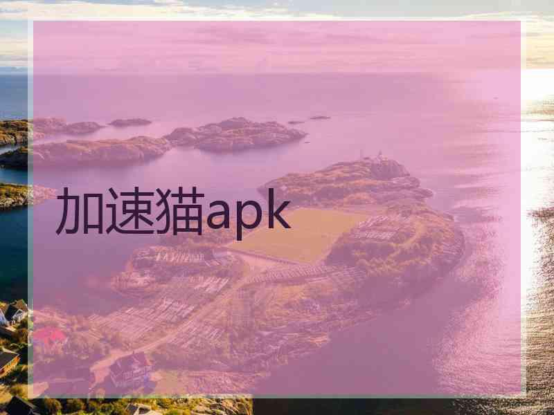 加速猫apk