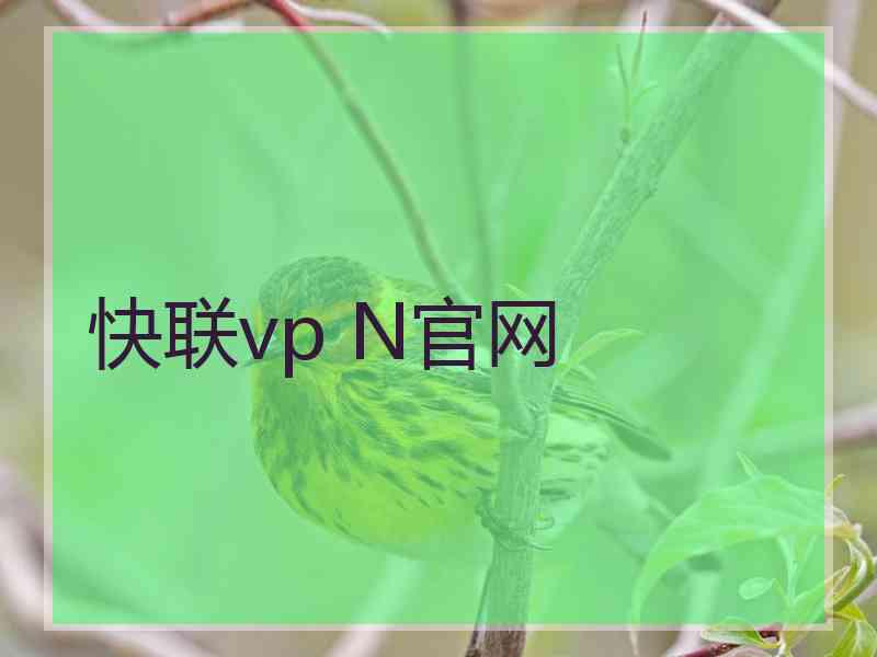 快联vp N官网