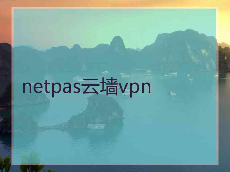 netpas云墙vpn