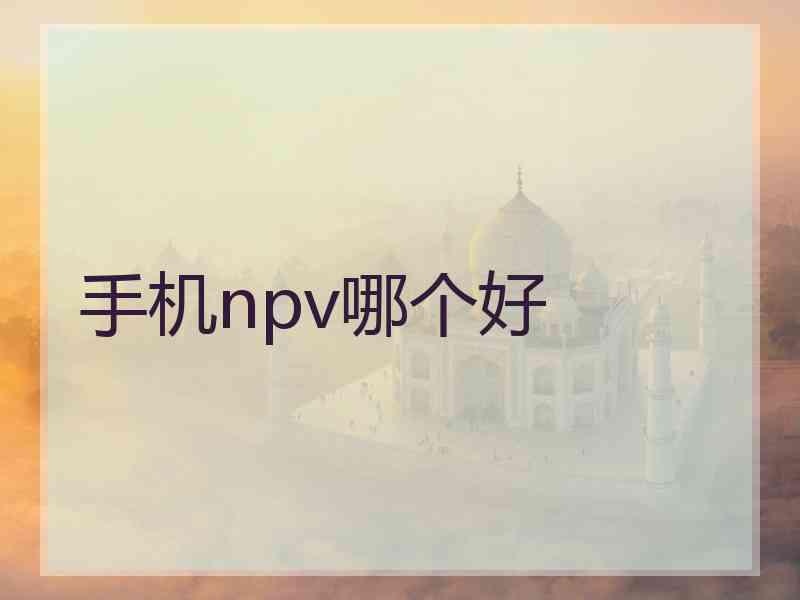 手机npv哪个好