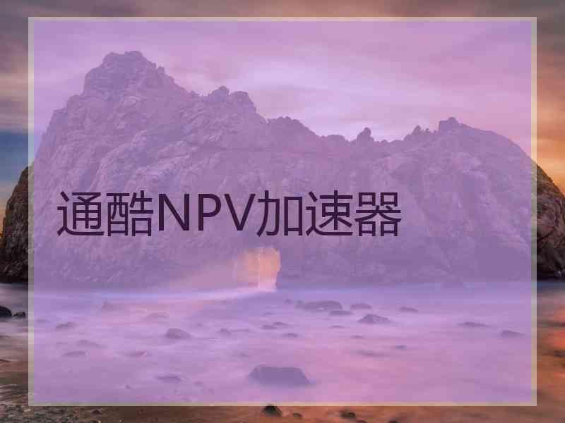 通酷NPV加速器