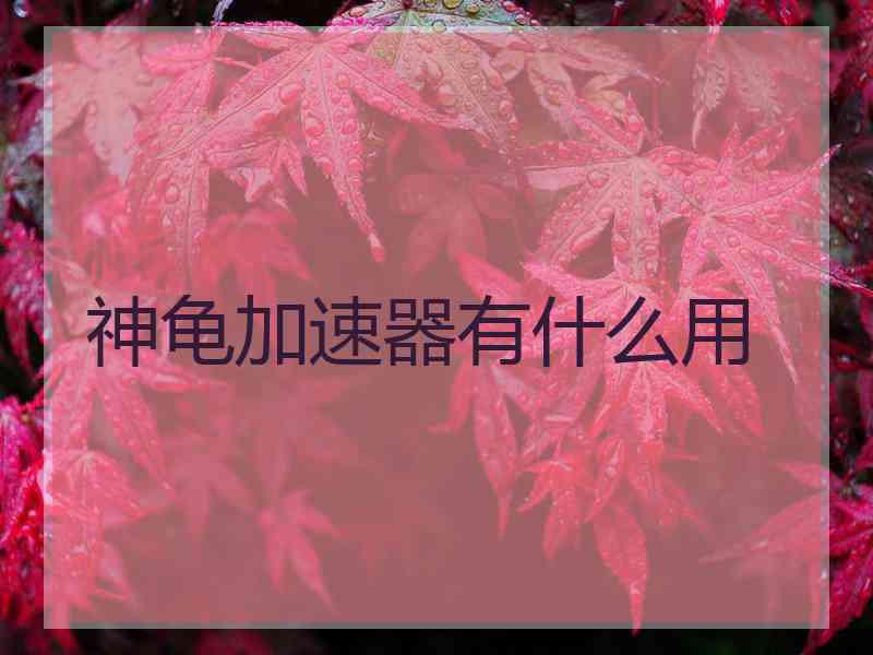 神龟加速器有什么用