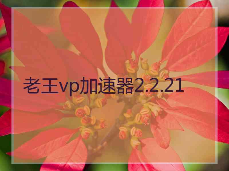 老王vp加速器2.2.21