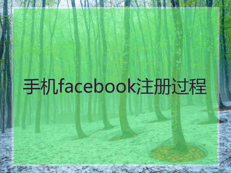 手机facebook注册过程