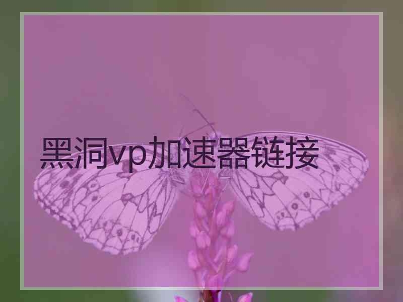 黑洞vp加速器链接