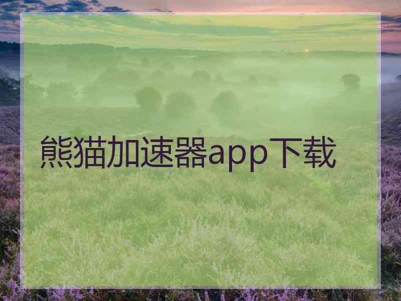 熊猫加速器app下载