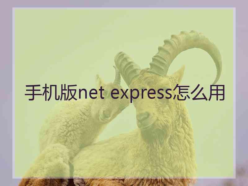 手机版net express怎么用