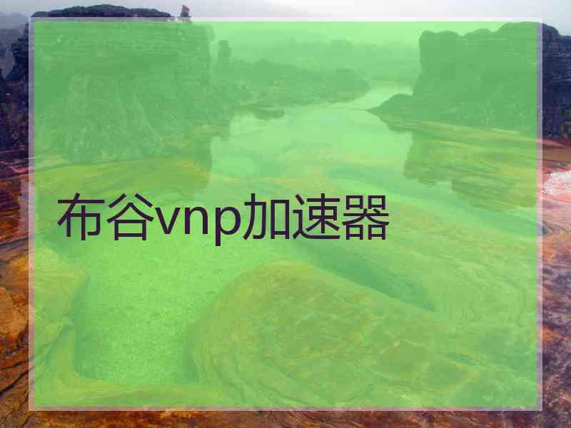 布谷vnp加速器