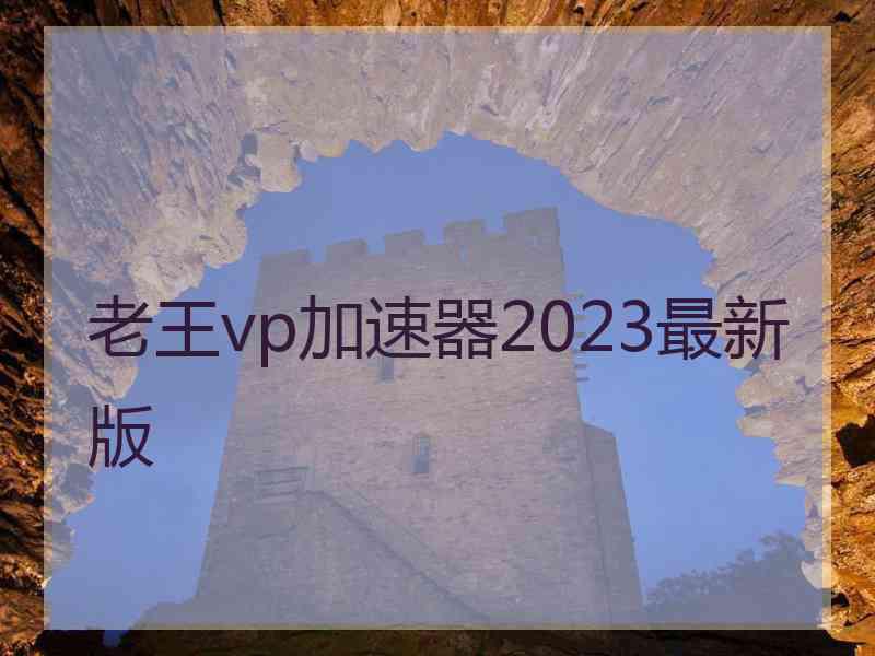 老王vp加速器2023最新版