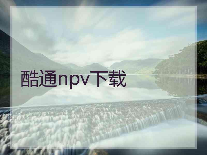 酷通npv下载