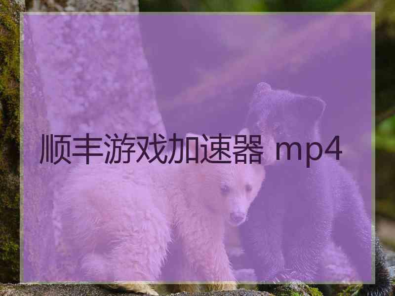 顺丰游戏加速器 mp4