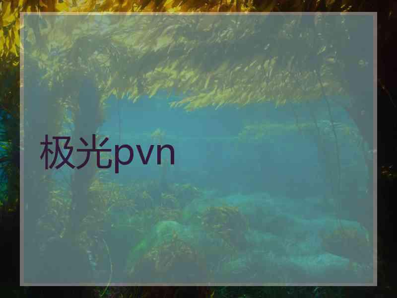 极光pvn