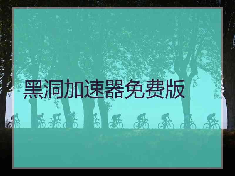 黑洞加速器免费版