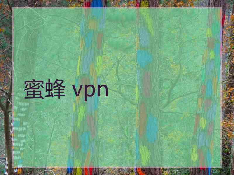 蜜蜂 vpn