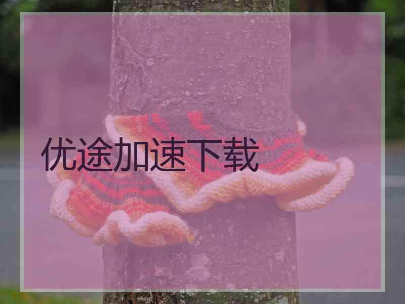 优途加速下载