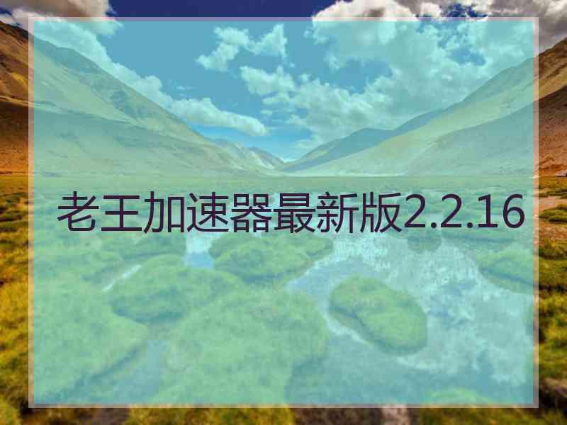 老王加速器最新版2.2.16