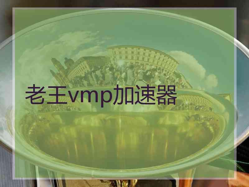 老王vmp加速器