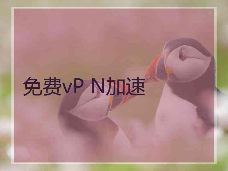 免费vP N加速