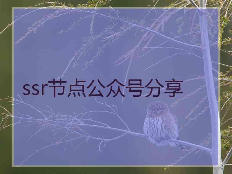 ssr节点公众号分享