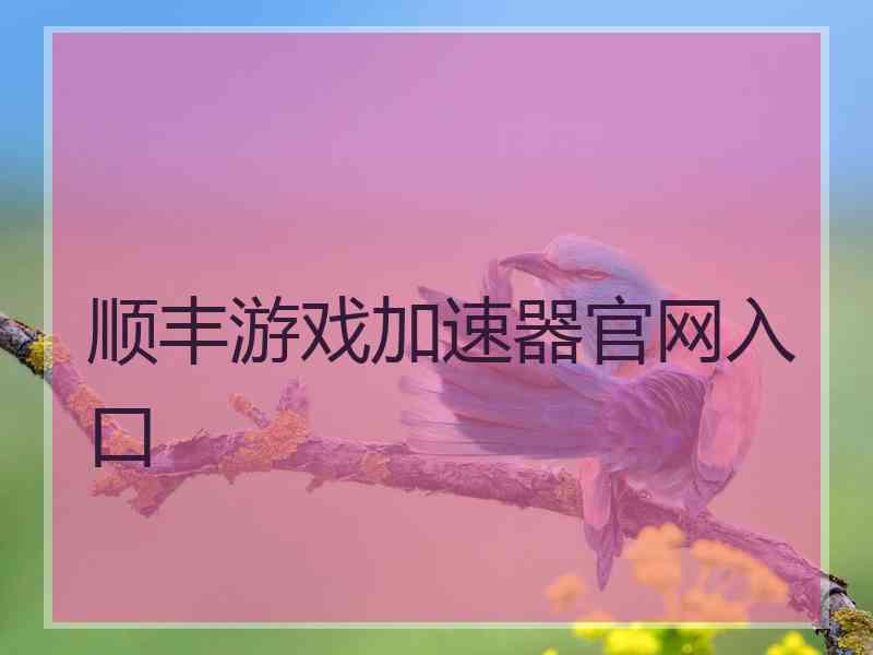 顺丰游戏加速器官网入口