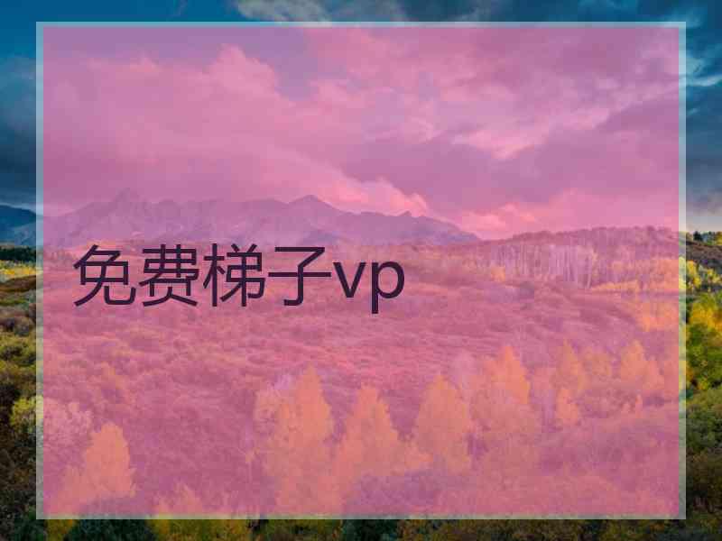 免费梯子vp