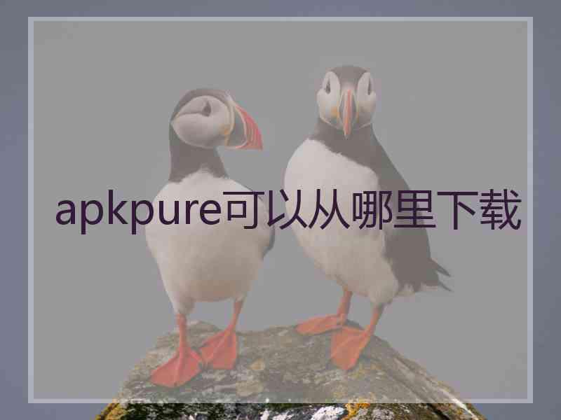 apkpure可以从哪里下载