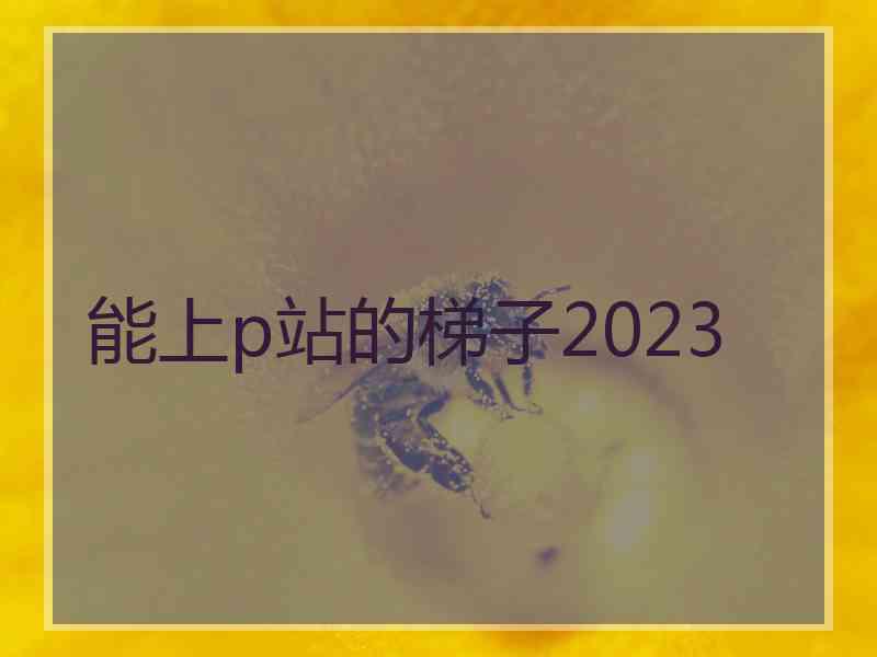 能上p站的梯子2023