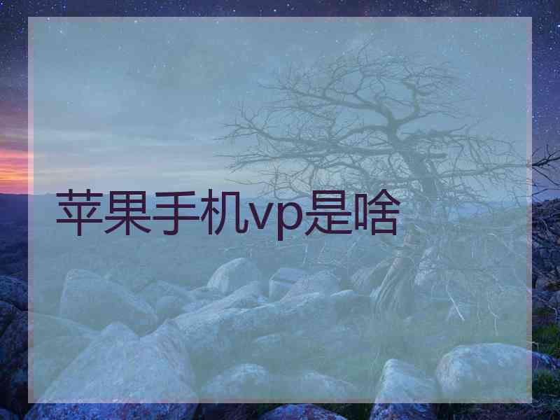 苹果手机vp是啥