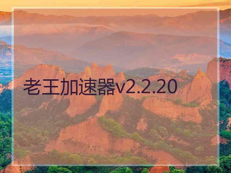 老王加速器v2.2.20