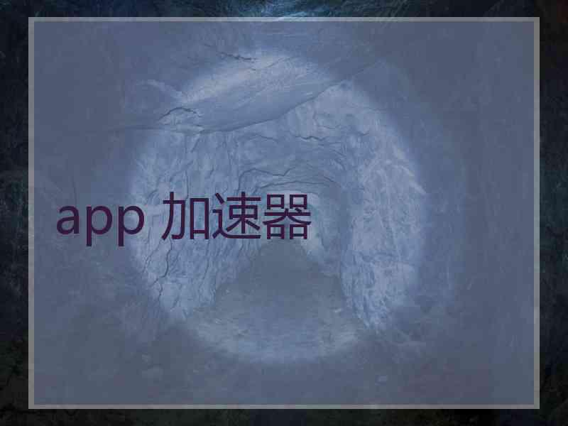 app 加速器