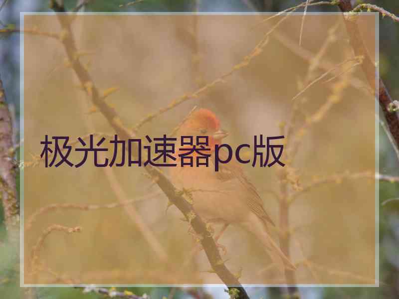 极光加速器pc版