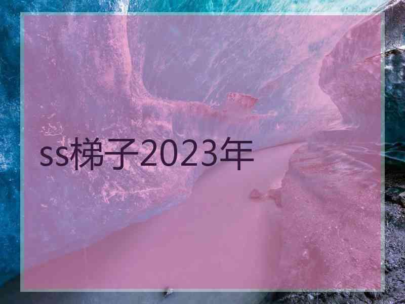 ss梯子2023年