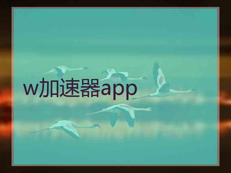 w加速器app