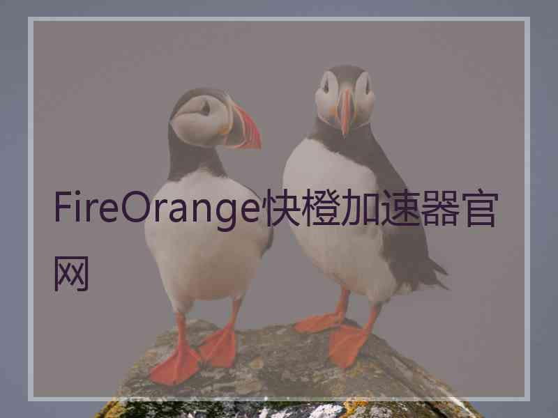 FireOrange快橙加速器官网