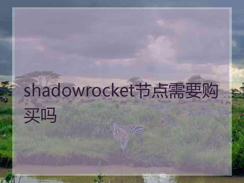 shadowrocket节点需要购买吗