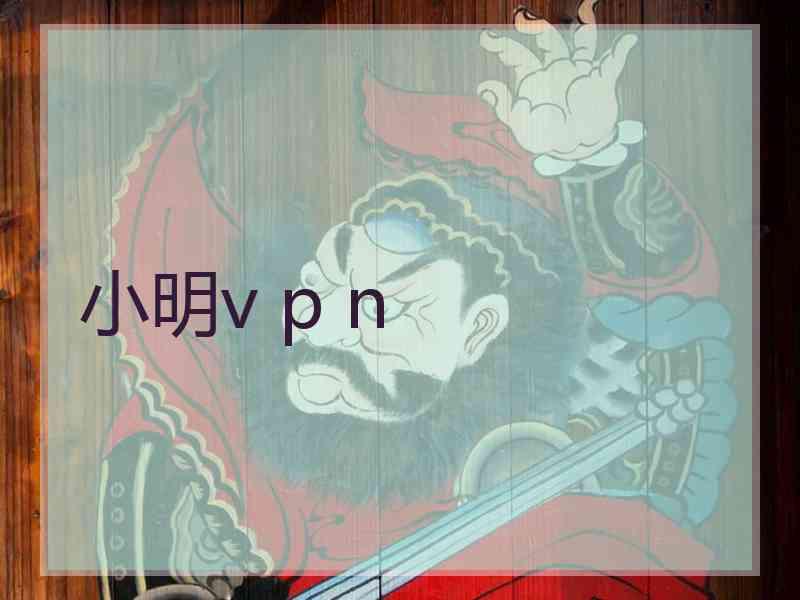 小明v p n